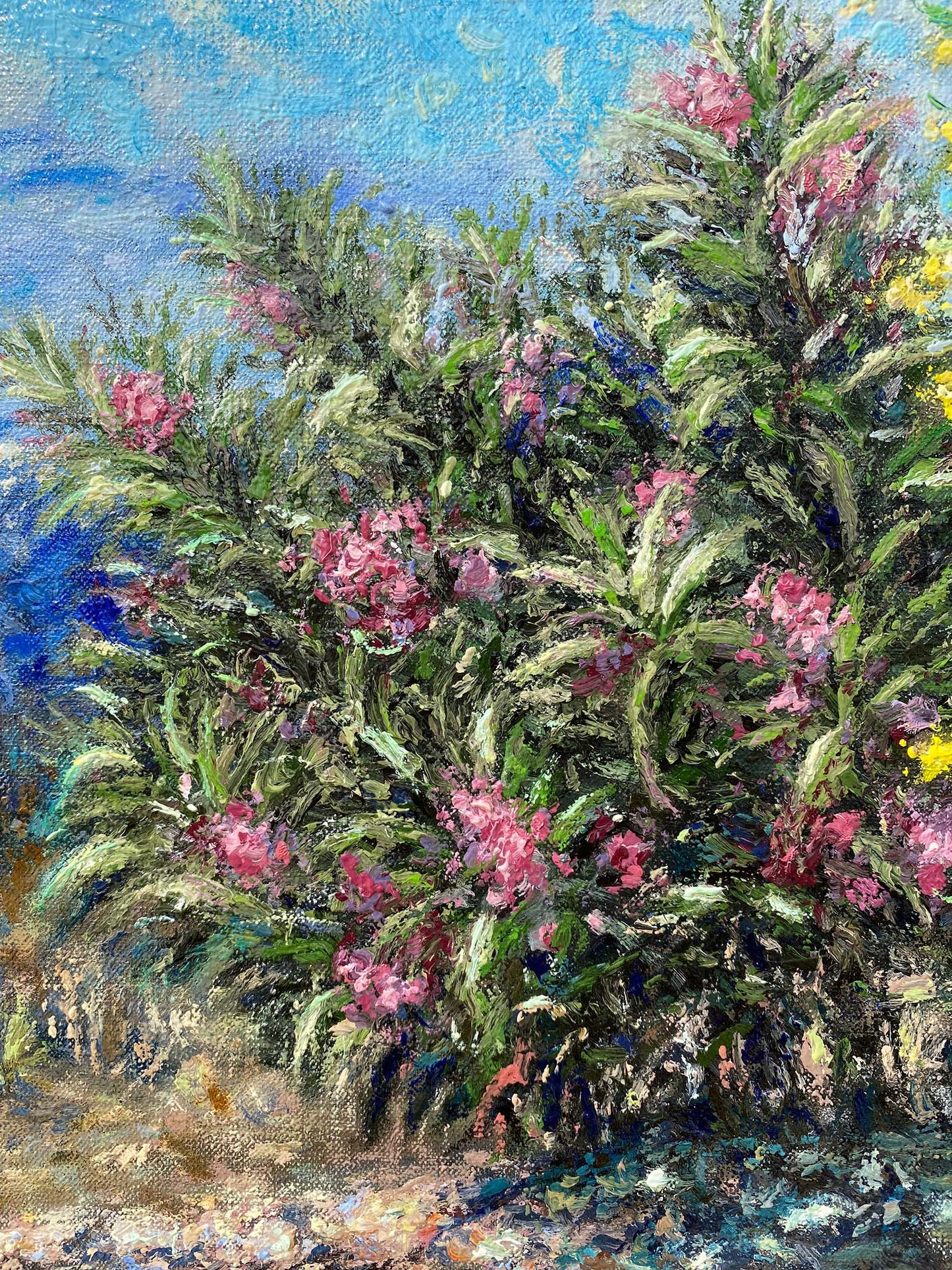 Original Painting: Blooming Acacia Tree in Tzikides Aegina