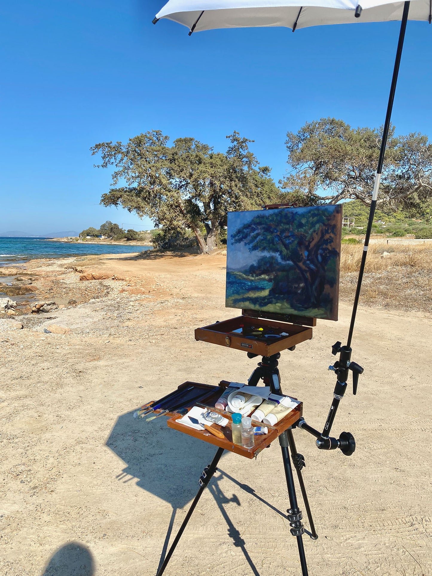 Original Painting: Juniper Tree at Horeftra Beach in Aegina