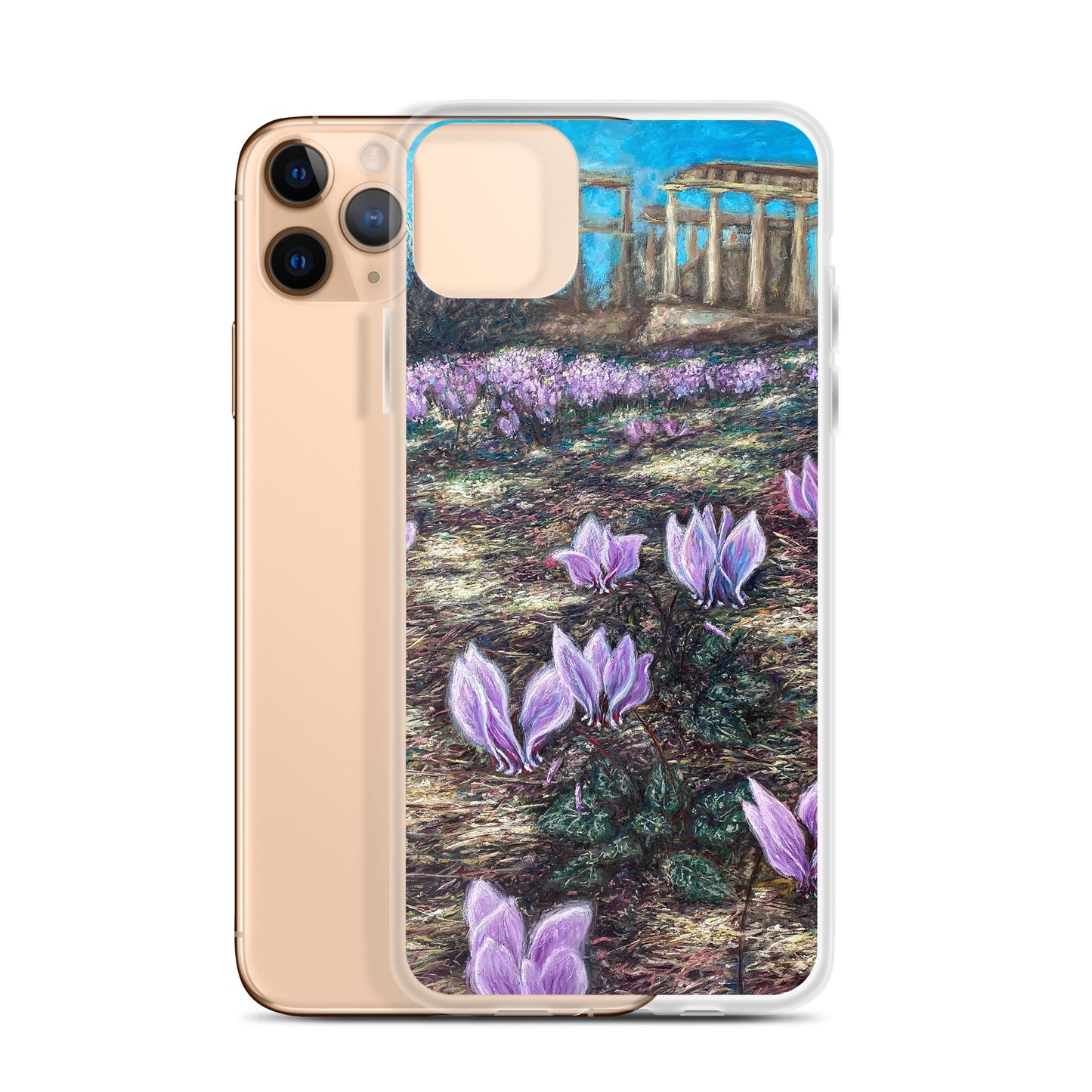 Phone Case: Cyclamen Flowers at Afaia Temple iPhone