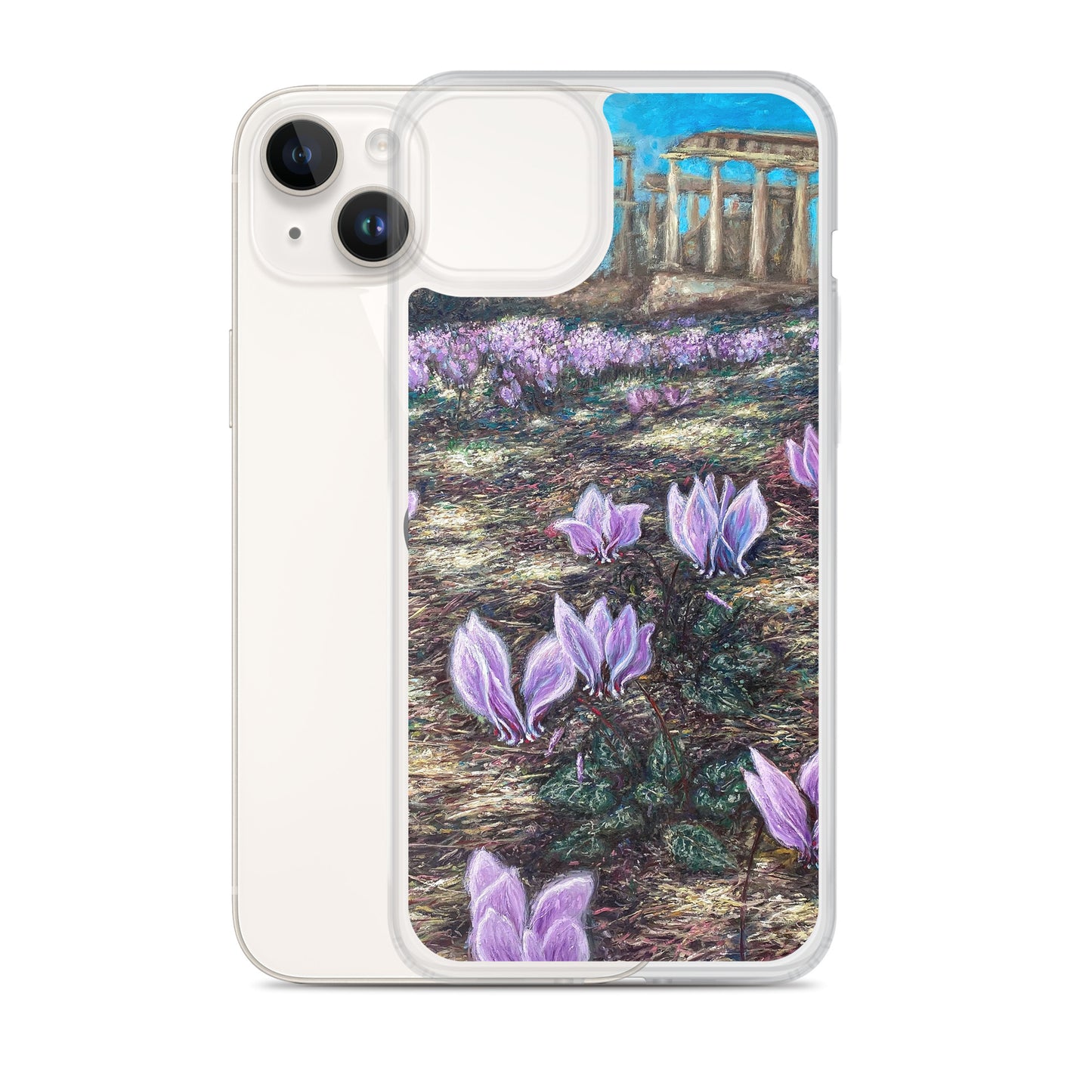 Phone Case: Cyclamen Flowers at Afaia Temple iPhone