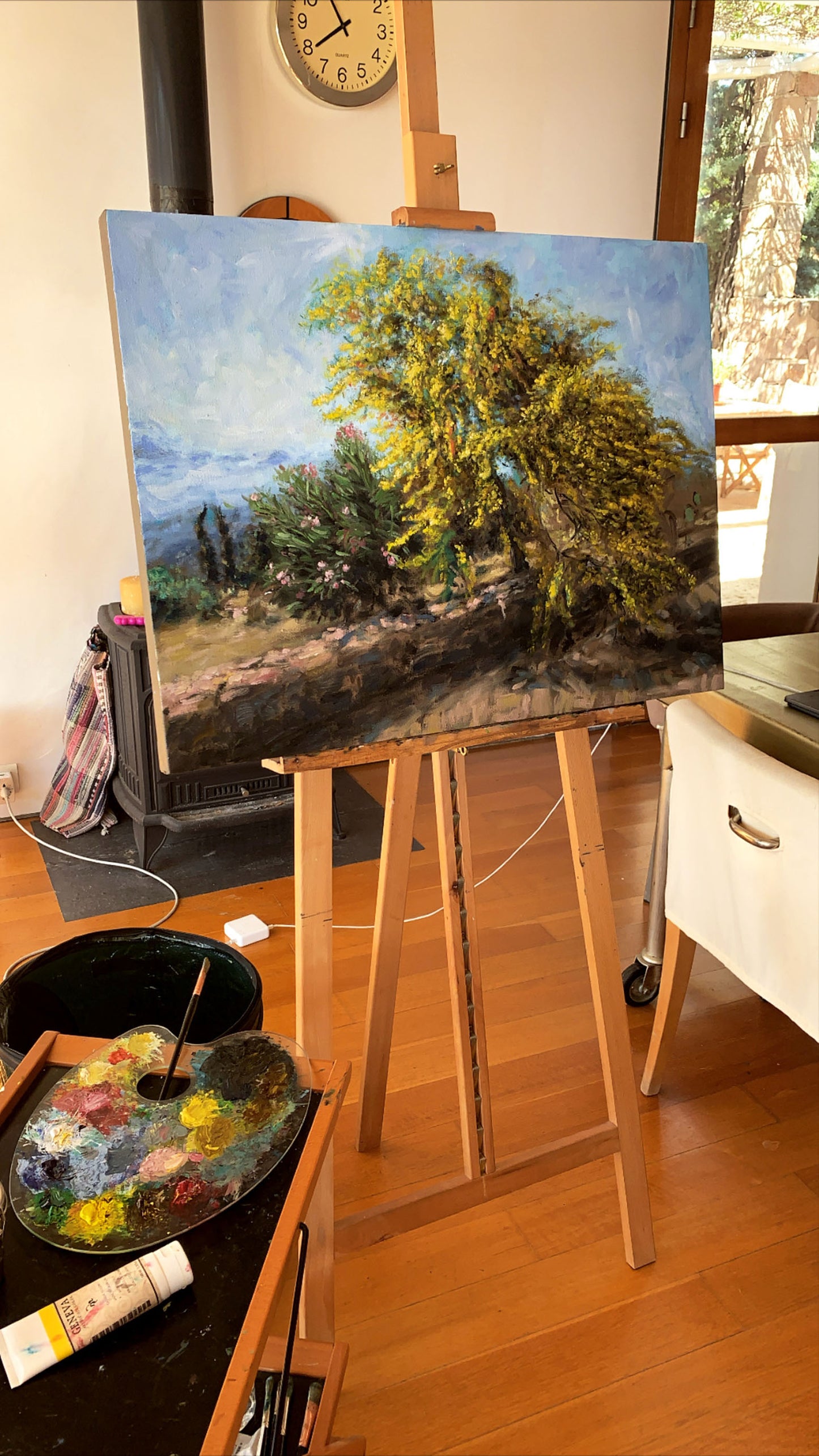 Original Painting: Blooming Acacia Tree in Tzikides Aegina