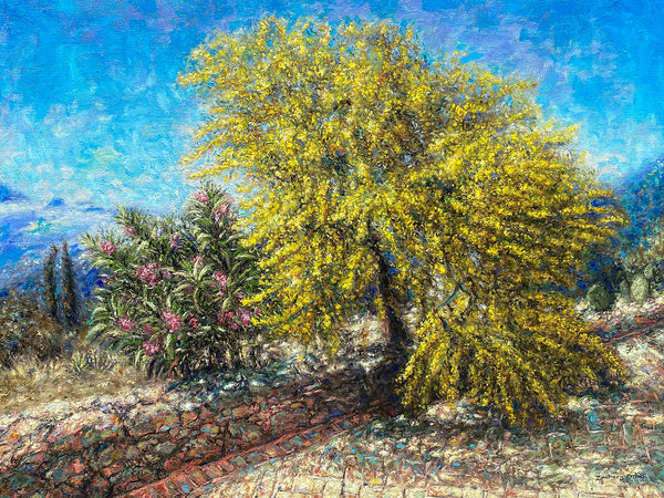 Canvas Print: Acacia Tree in Bloom