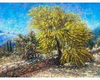 Art Print: Acacia Tree Blooming at Home, Tzikides