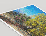 Art Print: Acacia Tree Blooming at Home, Tzikides